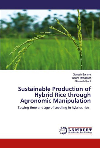 Sustainable Production of Hybrid Rice through Agronomic Manipulation