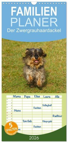 Familienplaner 2026 - Der Zwergrauhaardackel - Eigensinnig und Liebenswert mit 5 Spalten (Wandkalender, 21 x 45 cm) CALVENDO