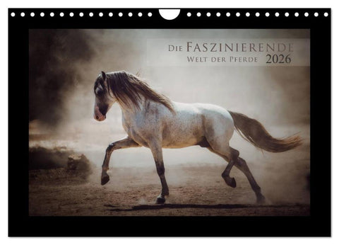 Die Faszinierende Welt der Pferde (Wandkalender 2026 DIN A4 quer), CALVENDO Monatskalender