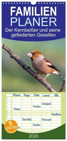Familienplaner 2026 - Der Kernbeißer und seine gefiederten Gesellen mit 5 Spalten (Wandkalender, 21 x 45 cm) CALVENDO