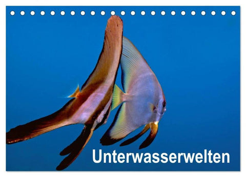Unterwasserwelten (Tischkalender 2026 DIN A5 quer), CALVENDO Monatskalender