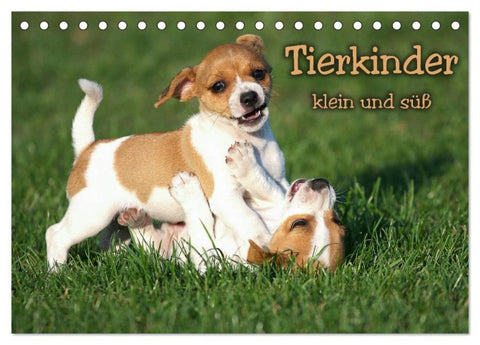 Tierkinder klein und süß (Tischkalender 2026 DIN A5 quer), CALVENDO Monatskalender