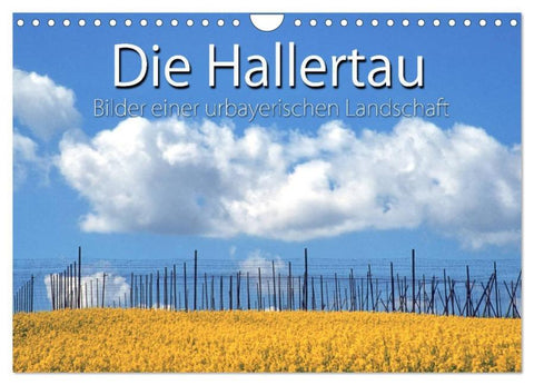 Hallertau (Wandkalender 2026 DIN A4 quer), CALVENDO Monatskalender