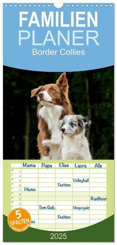Familienplaner 2025 - Border Collies 2025 mit 5 Spalten (Wandkalender, 21 x 45 cm) CALVENDO
