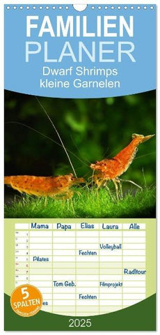 Familienplaner 2025 - Dwarf Shrimps - kleine Garnelen mit 5 Spalten (Wandkalender, 21 x 45 cm) CALVENDO