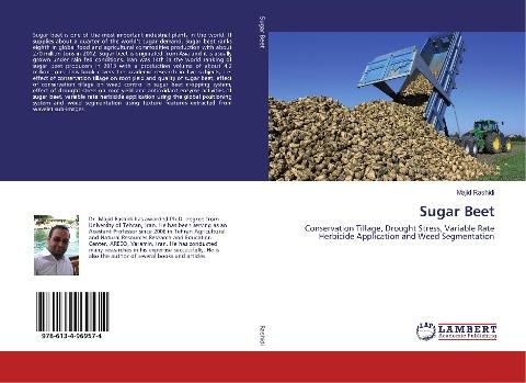 Sugar Beet