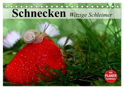 Schnecken. Witzige Schleimer (Tischkalender 2025 DIN A5 quer), CALVENDO Monatskalender