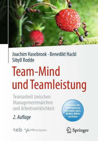 Team-Mind und Teamleistung