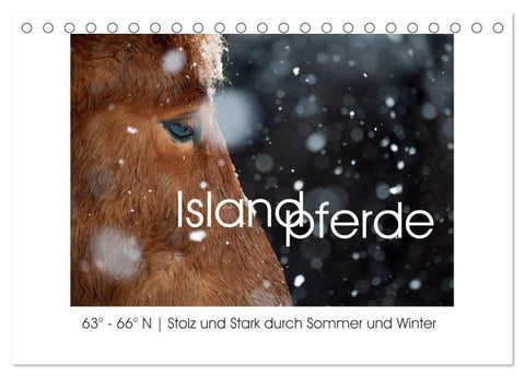 Islandpferde - Stolz und Stark durch Sommer und Winter (Tischkalender 2025 DIN A5 quer), CALVENDO Monatskalender