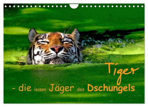 Tiger - die leisen Jäger des Dschungels (Wandkalender 2026 DIN A4 quer), CALVENDO Monatskalender