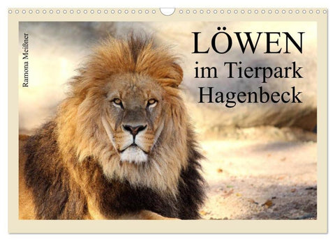 Löwen im Tierpark Hagenbeck (Wandkalender 2026 DIN A3 quer), CALVENDO Monatskalender