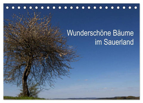 Wunderschöne Bäume im Sauerland (Tischkalender 2026 DIN A5 quer), CALVENDO Monatskalender