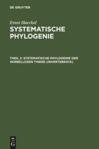 Ernst Haeckel: Systematische Phylogenie / Systematische Phylogenie der wirbellosen Thiere (Invertebrata)