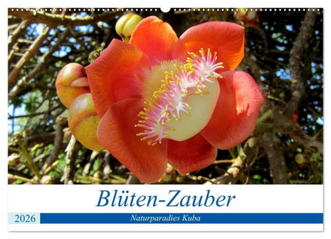 Blüten-Zauber - Naturparadies Kuba (Wandkalender 2026 DIN A2 quer), CALVENDO Monatskalender