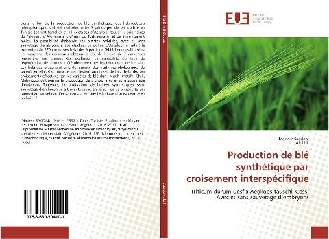 Production de blé synthétique par croisement interspécifique