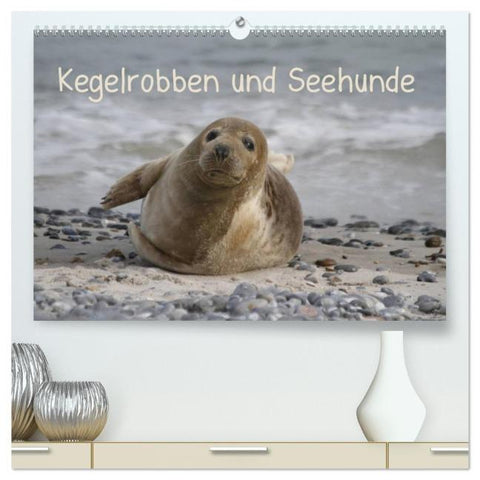 Kegelrobben und Seehunde (hochwertiger Premium Wandkalender 2026 DIN A2 quer), Kunstdruck in Hochglanz