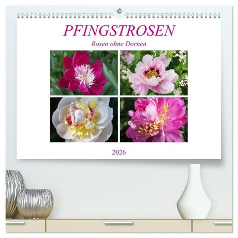PFINGSTROSEN Rosen ohne Dornen (hochwertiger Premium Wandkalender 2026 DIN A2 quer), Kunstdruck in Hochglanz
