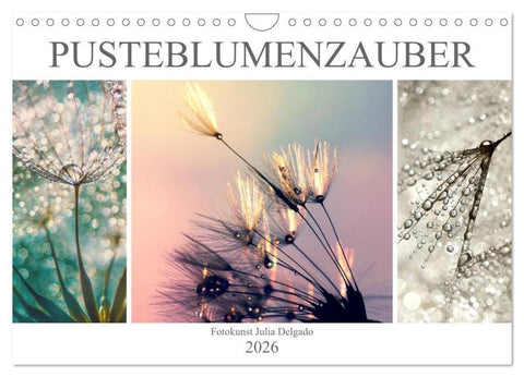 PusteblumenZauber (Wandkalender 2026 DIN A4 quer), CALVENDO Monatskalender