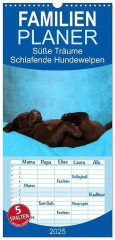 Familienplaner 2025 - Süße Träume 2025 - schlafende Hundewelpen mit 5 Spalten (Wandkalender, 21 x 45 cm) CALVENDO