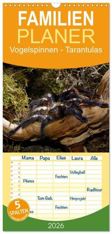 Familienplaner 2026 - Vogelspinnen - Tarantulas mit 5 Spalten (Wandkalender, 21 x 45 cm) CALVENDO