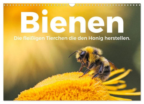 Bienen - Die fleißigen Tierchen die den Honig herstellen. (Wandkalender 2025 DIN A3 quer), CALVENDO Monatskalender