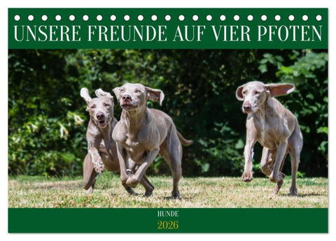 Unsere Freunde auf vier Pfoten - Hunde (Tischkalender 2026 DIN A5 quer), CALVENDO Monatskalender