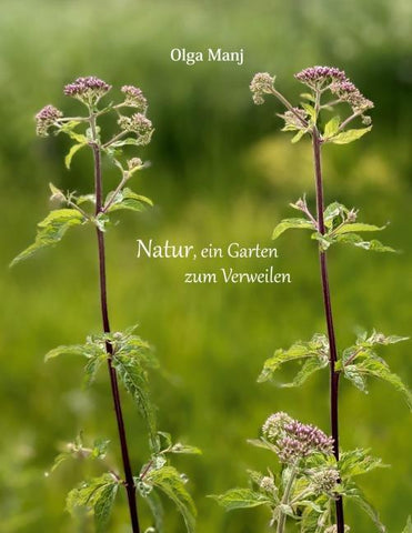 Natur, ein Garten zum Verweilen