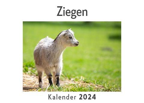 Ziegen (Wandkalender 2024, Kalender DIN A4 quer, Monatskalender im Querformat mit Kalendarium, Das perfekte Geschenk)