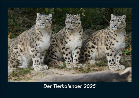 Der Tierkalender 2025 Fotokalender DIN A5