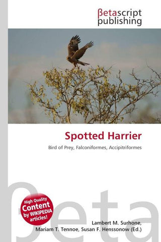 Spotted Harrier