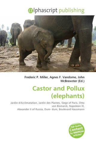Castor and Pollux (elephants)