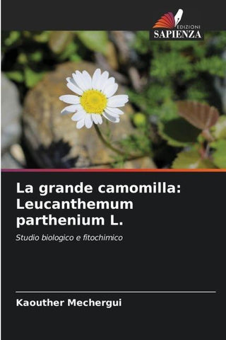 La grande camomilla: Leucanthemum parthenium L.