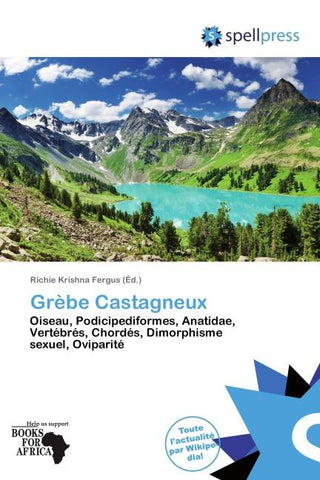 Grèbe Castagneux