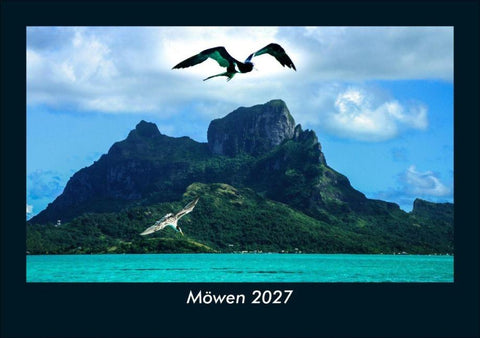 Möwen 2027 Fotokalender DIN A5