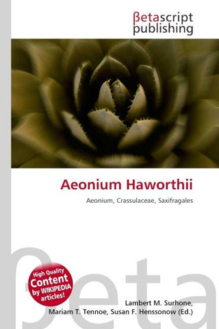 Aeonium Haworthii