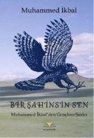 Bir Sahinsin Sen