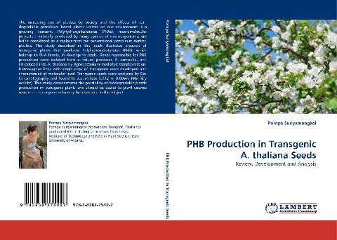 PHB Production in Transgenic A. thaliana Seeds