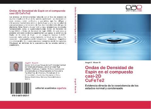 Ondas de Densidad de Espín en el compuesto casi-2D CuFeTe2