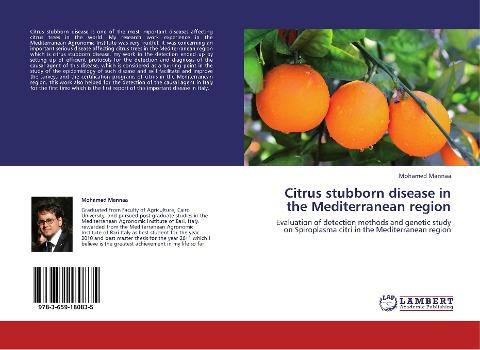 Citrus stubborn disease  in the Mediterranean region