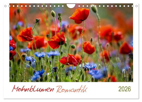 Mohnblumen Romantik (Wandkalender 2026 DIN A4 quer), CALVENDO Monatskalender