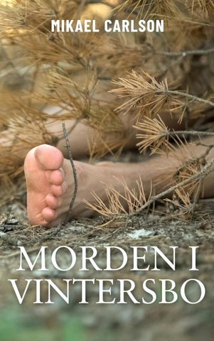 Morden i Vintersbo