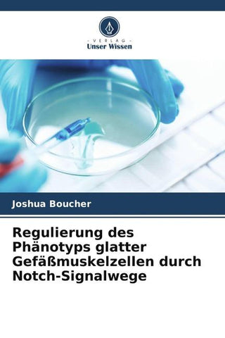 Regulierung des Phänotyps glatter Gefäßmuskelzellen durch Notch-Signalwege