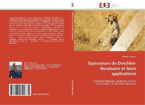 Opérateurs de Dirichlet-Neumann et leurs applications