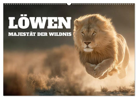 Löwen - Majestät der Wildnis (Wandkalender 2026 DIN A2 quer), CALVENDO Monatskalender