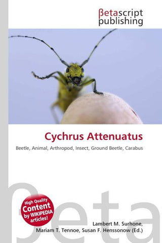 Cychrus Attenuatus