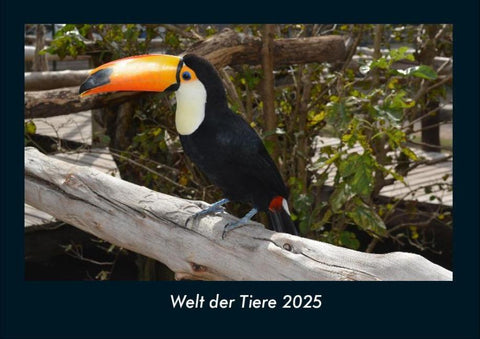 Welt der Tiere 2025 Fotokalender DIN A4