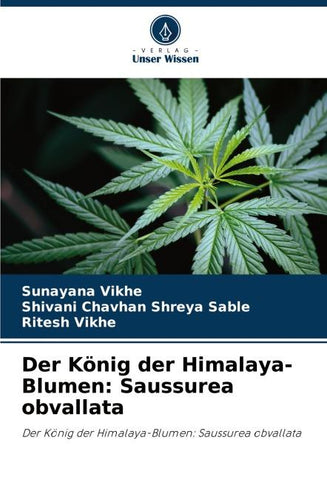 Der König der Himalaya-Blumen: Saussurea obvallata