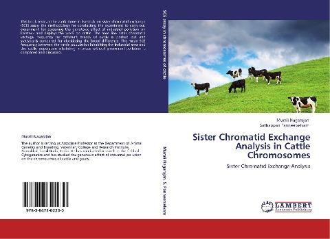 Sister Chromatid Exchange Analysis in Cattle Chromosomes