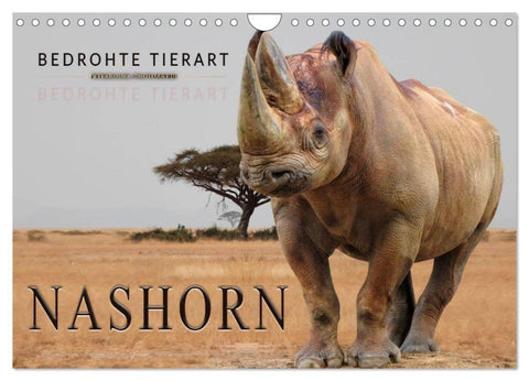 Bedrohte Tierart - Nashorn (Wandkalender 2026 DIN A4 quer), CALVENDO Monatskalender