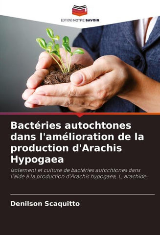 Bactéries autochtones dans l'amélioration de la production d'Arachis Hypogaea